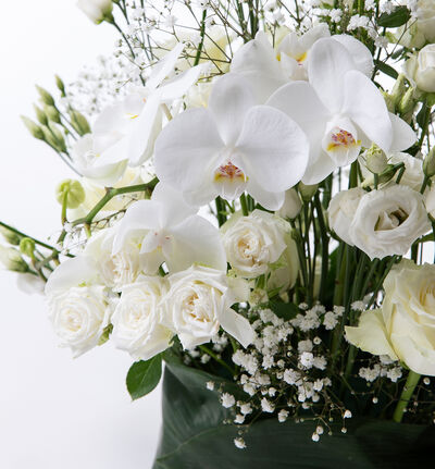 Stilren borddekorasjon i hvitt med orkidé